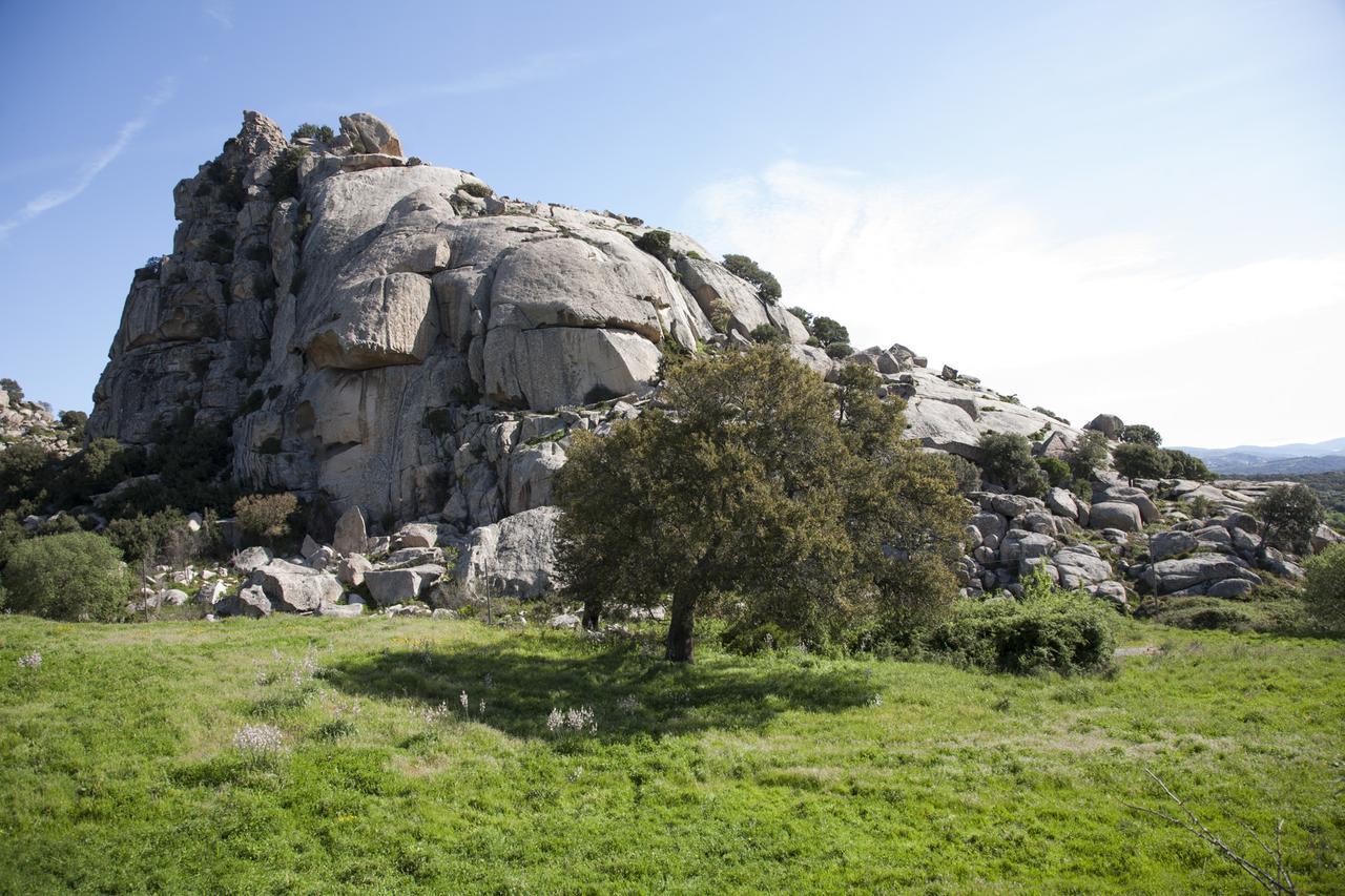Locanda Li Manni Aggius Bagian luar foto