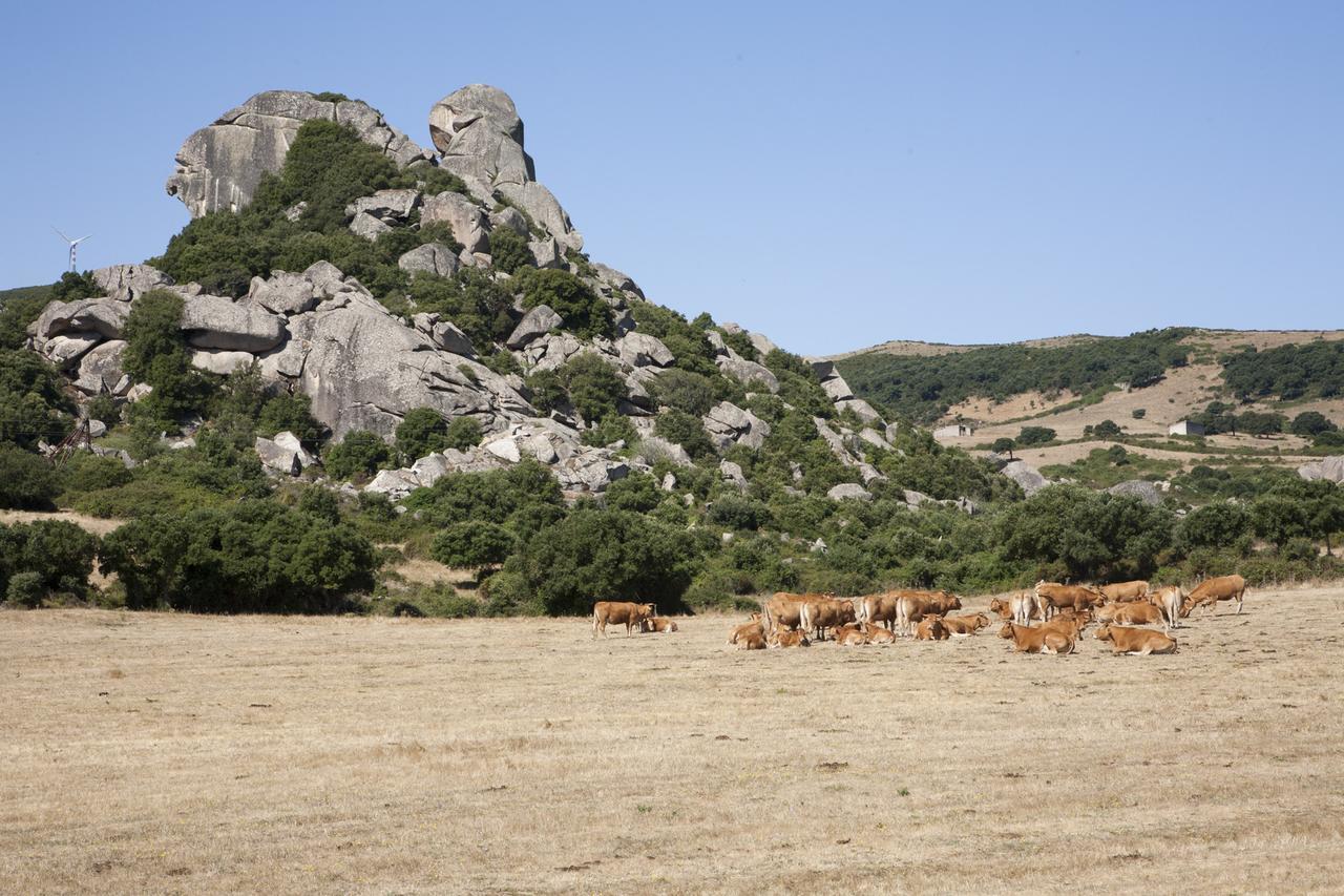 Locanda Li Manni Aggius Bagian luar foto