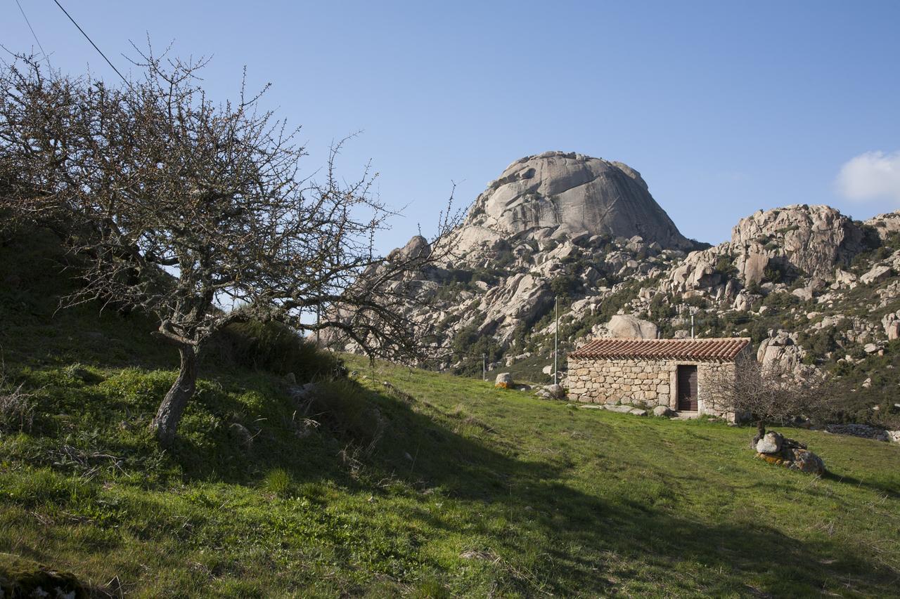 Locanda Li Manni Aggius Bagian luar foto