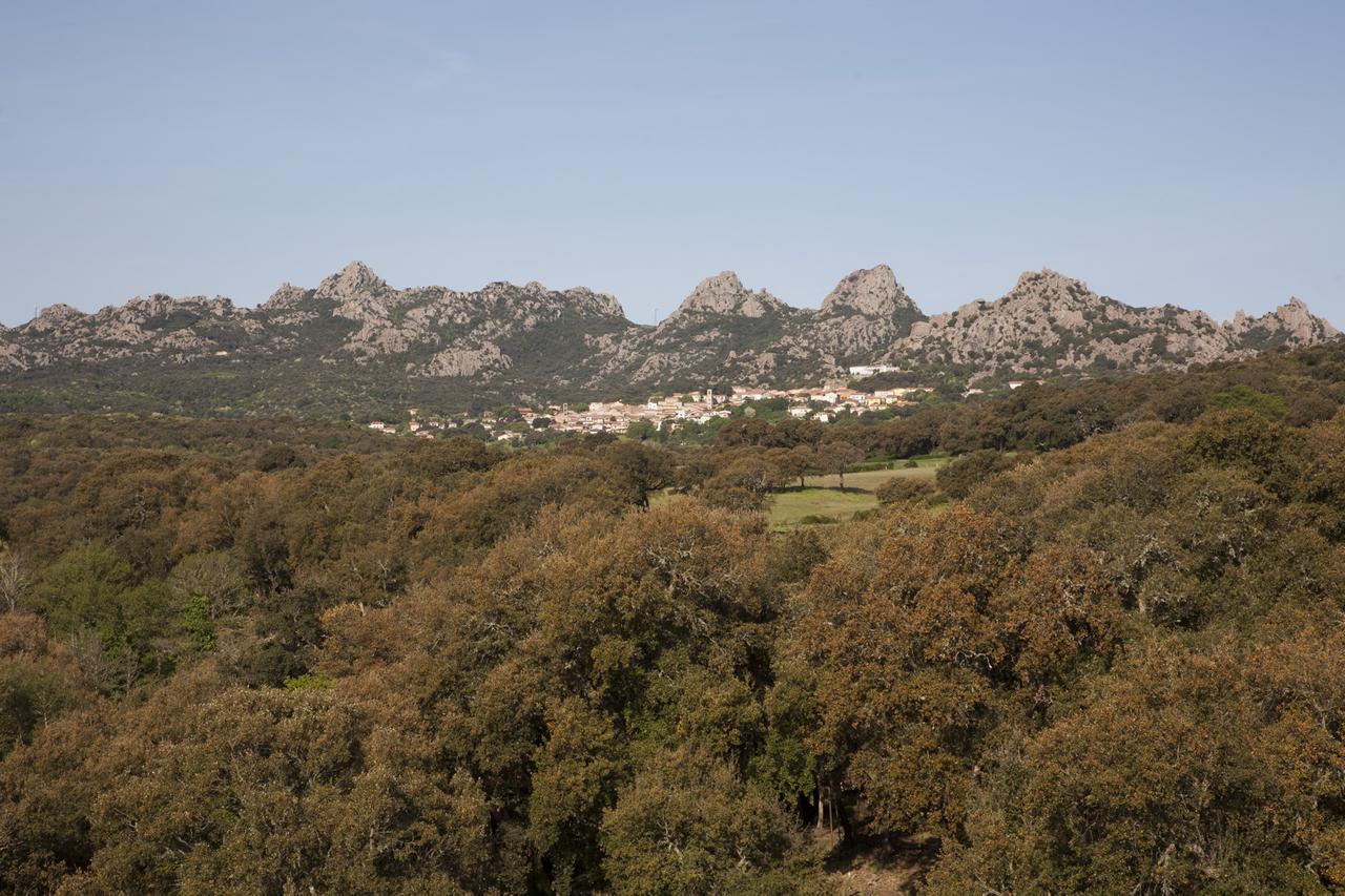 Locanda Li Manni Aggius Bagian luar foto